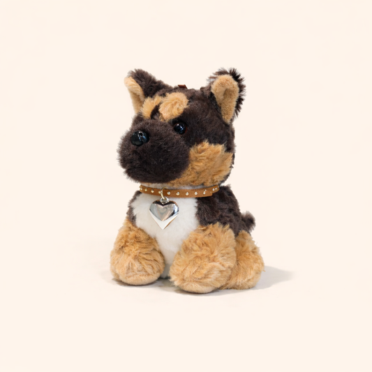 Bruno Dog